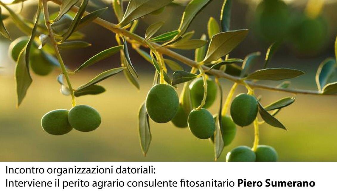 Agricoltura, Matarrelli incontra le organizzazioni datoriali